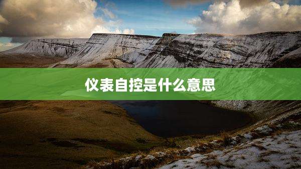 仪表自控是什么意思