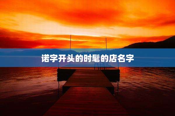 诺字开头的时髦的店名字