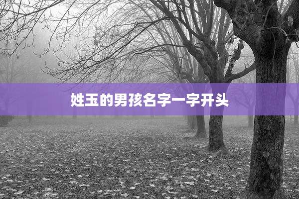 姓玉的男孩名字一字开头
