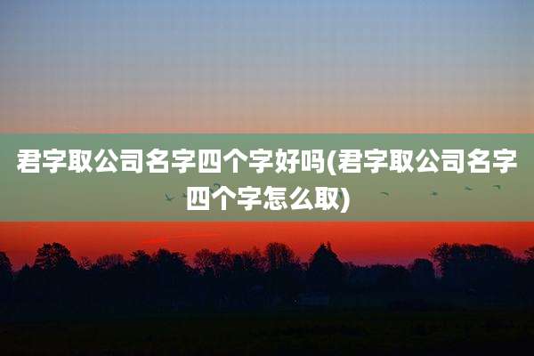 君字取公司名字四个字好吗(君字取公司名字四个字怎么取)