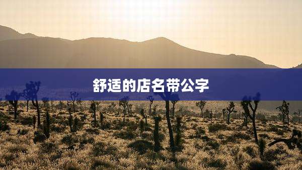 舒适的店名带公字