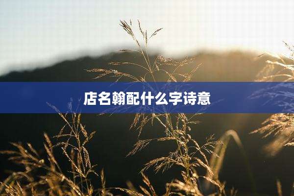 店名翰配什么字诗意