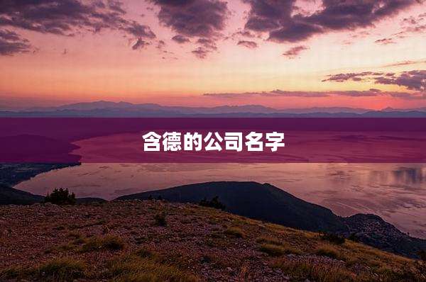 含德的公司名字