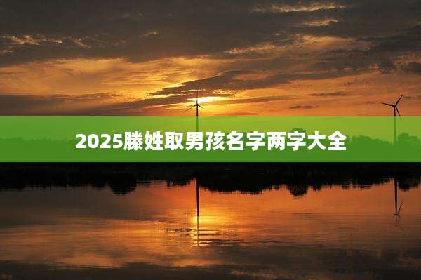 2025滕姓取男孩名字两字大全