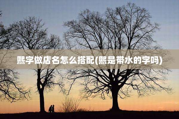 熙字做店名怎么搭配(熙是带水的字吗)