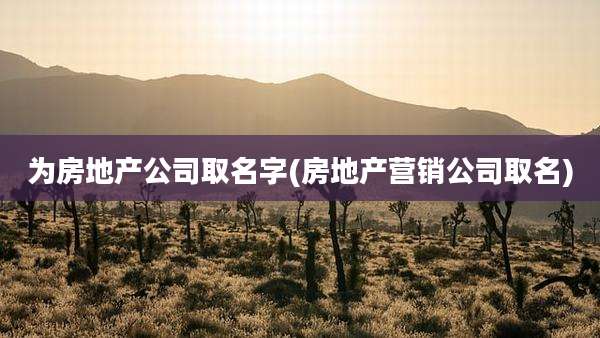 为房地产公司取名字(房地产营销公司取名)
