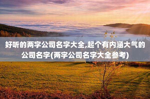 好听的两字公司名字大全,起个有内涵大气的公司名字(两字公司名字大全参考)