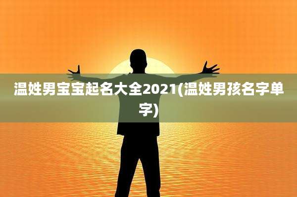 温姓男宝宝起名大全2021(温姓男孩名字单字)