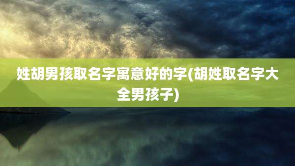 姓胡男孩取名字寓意好的字(胡姓取名字大全男孩子)