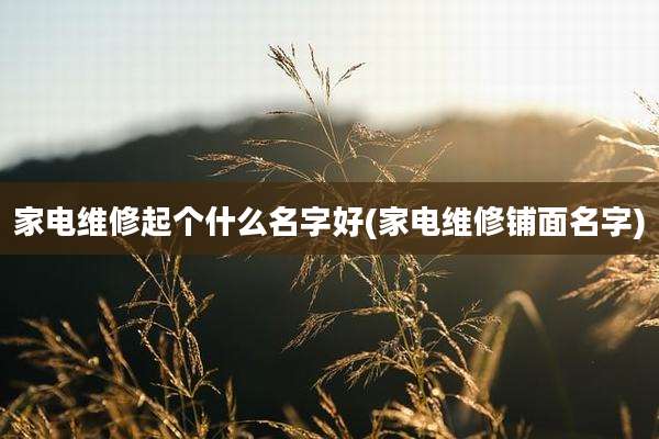 家电维修起个什么名字好(家电维修铺面名字)