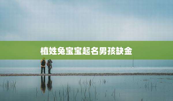 植姓兔宝宝起名男孩缺金