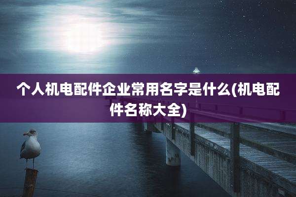 个人机电配件企业常用名字是什么(机电配件名称大全)
