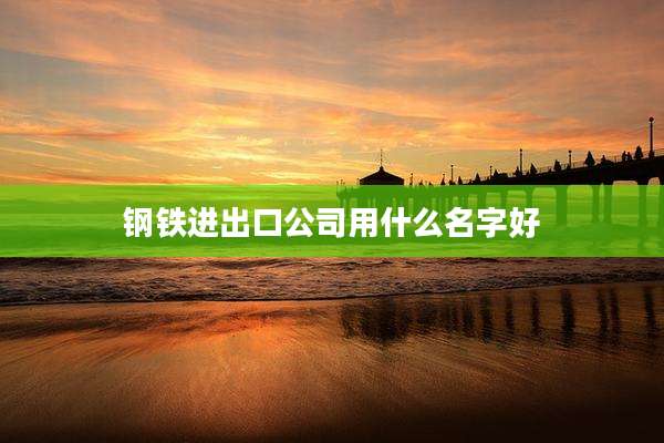 钢铁进出口公司用什么名字好