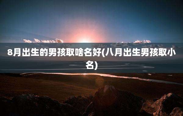 8月出生的男孩取啥名好(八月出生男孩取小名)