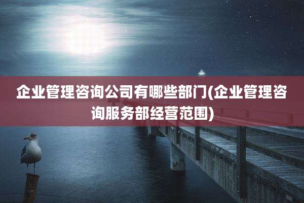 企业管理咨询公司有哪些部门(企业管理咨询服务部经营范围)
