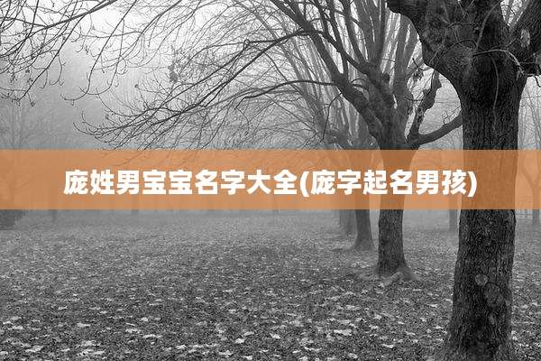 庞姓男宝宝名字大全(庞字起名男孩)
