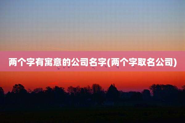 两个字有寓意的公司名字(两个字取名公司)
