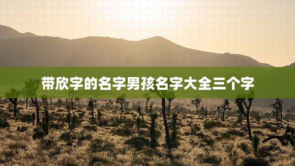 带欣字的名字男孩名字大全三个字