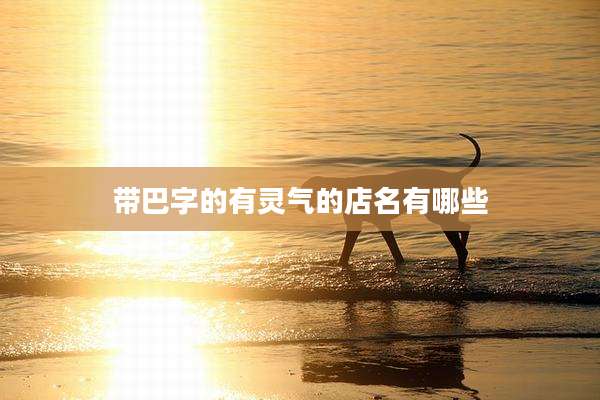 带巴字的有灵气的店名有哪些