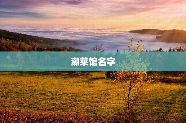 潮菜馆名字