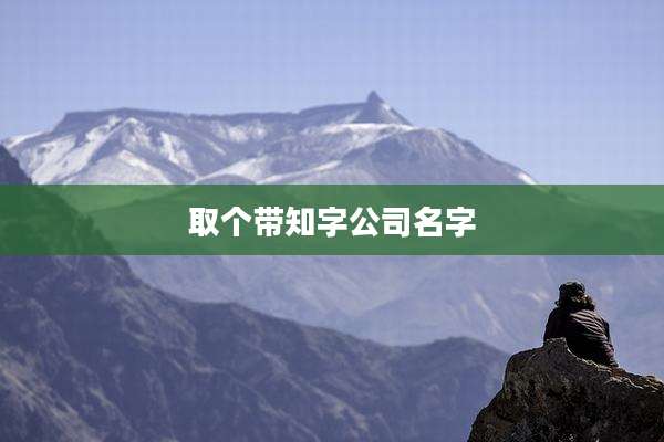 取个带知字公司名字