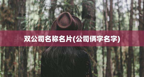 双公司名称名片(公司俩字名字)
