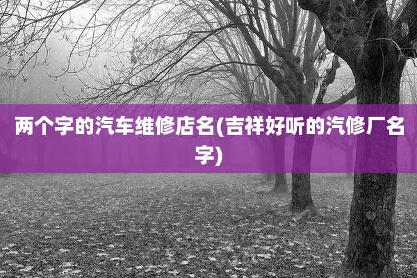 两个字的汽车维修店名(吉祥好听的汽修厂名字)