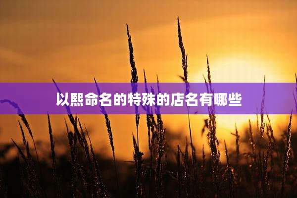以熙命名的特殊的店名有哪些