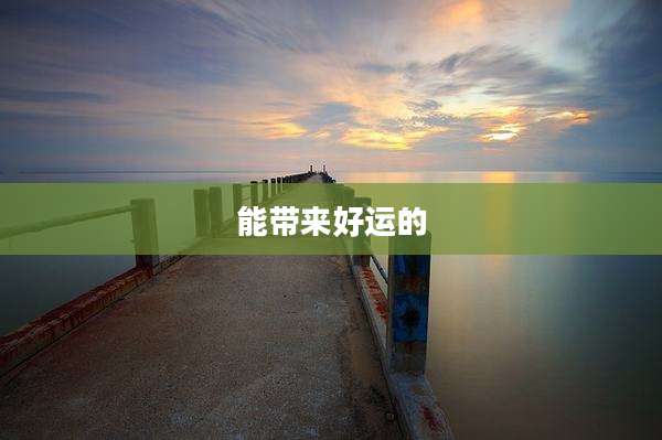 能带来好运的