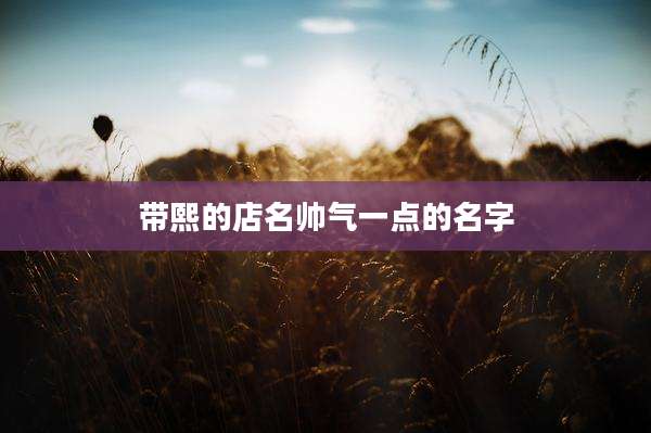 带熙的店名帅气一点的名字