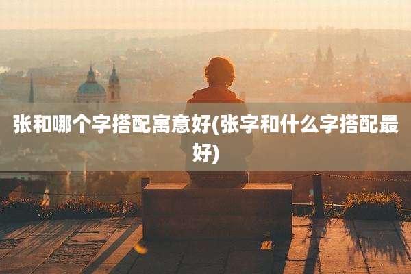 张和哪个字搭配寓意好(张字和什么字搭配最好)