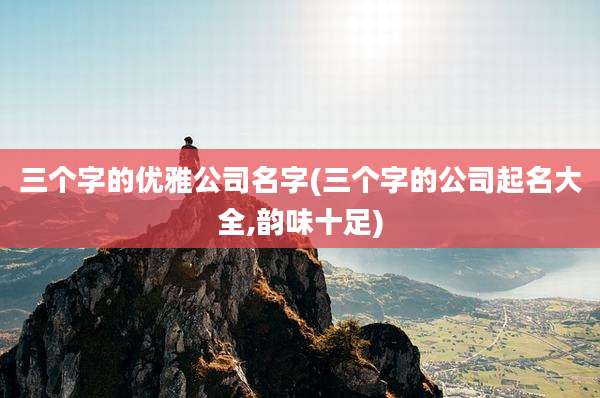 三个字的优雅公司名字(三个字的公司起名大全,韵味十足)