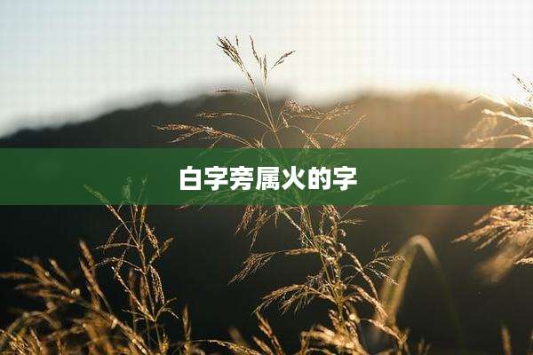 白字旁属火的字
