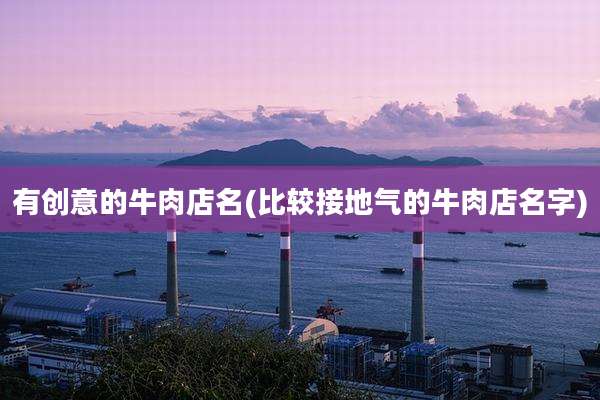 有创意的牛肉店名(比较接地气的牛肉店名字)