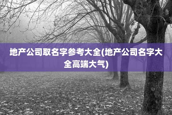 地产公司取名字参考大全(地产公司名字大全高端大气)