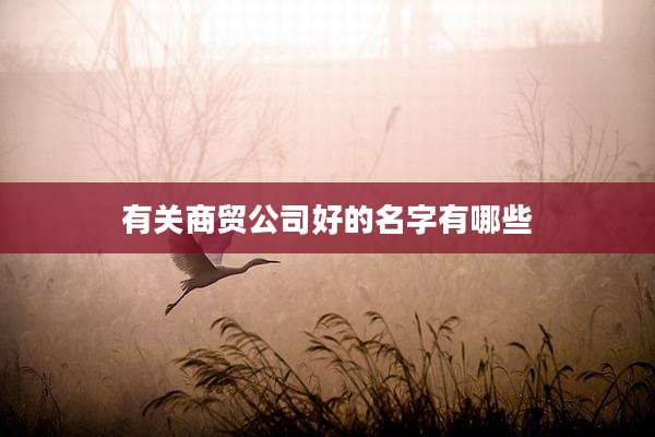 有关商贸公司好的名字有哪些