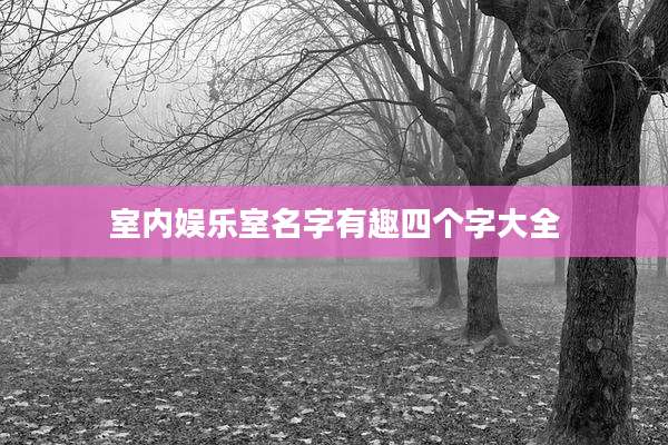 室内娱乐室名字有趣四个字大全