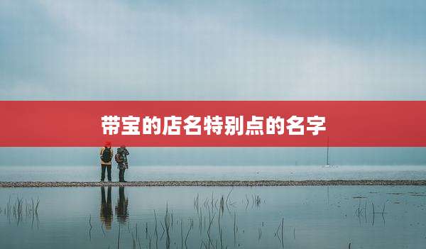 带宝的店名特别点的名字