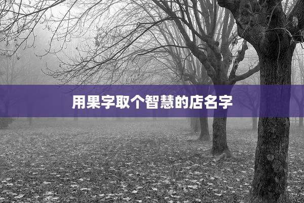 用果字取个智慧的店名字