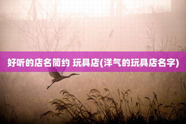 好听的店名简约 玩具店(洋气的玩具店名字)