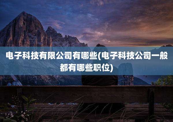 电子科技有限公司有哪些(电子科技公司一般都有哪些职位)