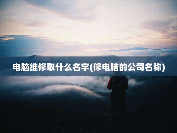 电脑维修取什么名字(修电脑的公司名称)