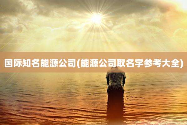 国际知名能源公司(能源公司取名字参考大全)