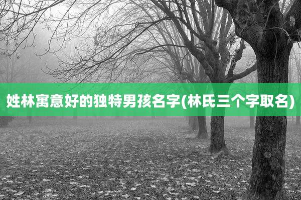 姓林寓意好的独特男孩名字(林氏三个字取名)