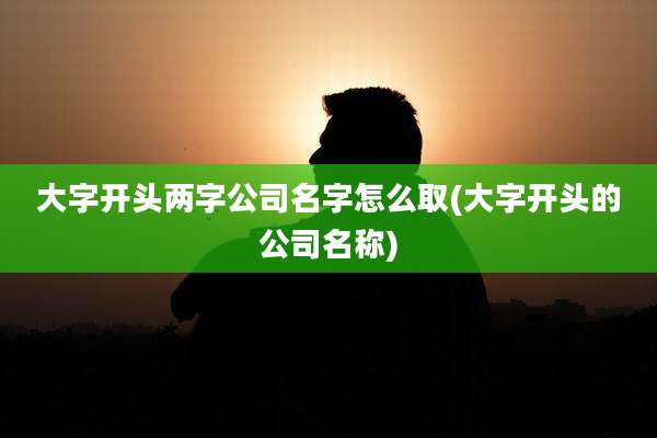 大字开头两字公司名字怎么取(大字开头的公司名称)