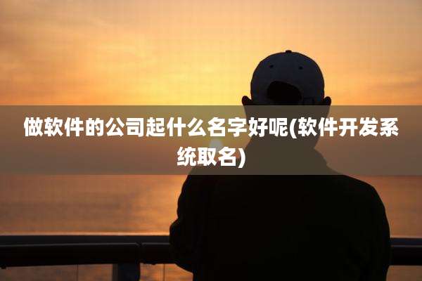 做软件的公司起什么名字好呢(软件开发系统取名)