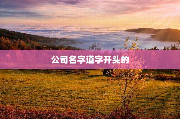 公司名字道字开头的