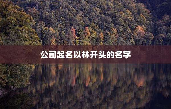 公司起名以林开头的名字
