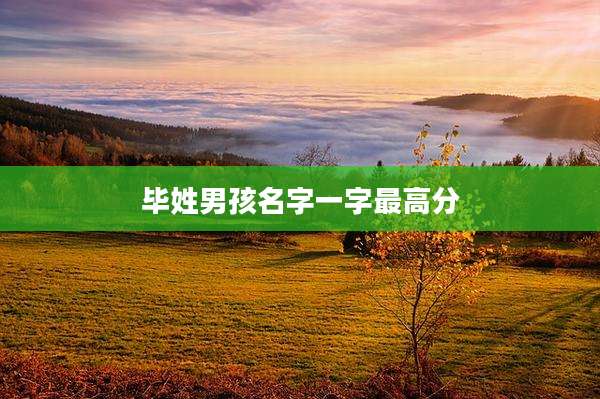 毕姓男孩名字一字最高分