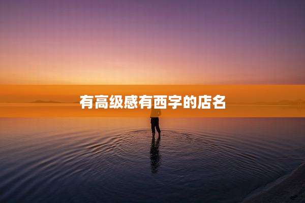 有高级感有西字的店名